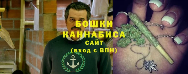 ПСИЛОЦИБИНОВЫЕ ГРИБЫ Нязепетровск