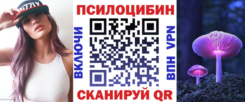 как найти   Беломорск  Псилоцибиновые грибы Magic Shrooms 